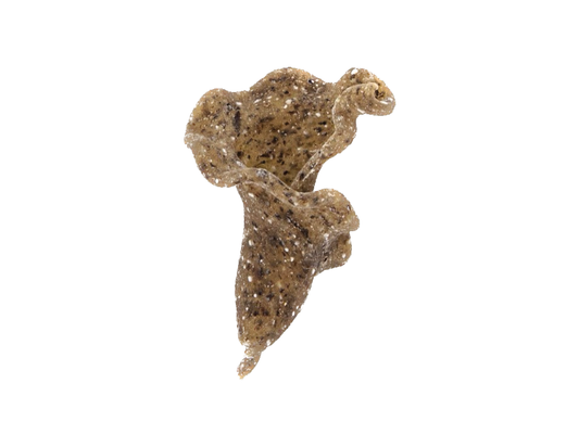 Gigli – Sorgo, Fagiolo nero e Grano Saraceno