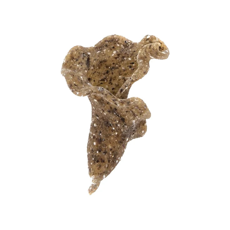 Gigli ÙNICA LEGÙ (sorgo, fagioli neri e saraceno): un singolo giglio di pasta da legumi senza glutine ricco di proteine vegetali, su sfondo bianco.