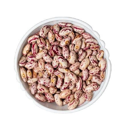 LEGÙ Organic Borlotti Beans in the foreground, mottled brown and cream, rich in vegetable protein for a gluten-free diet.